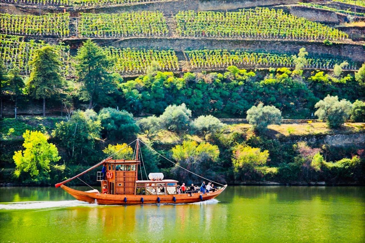 הוילה Santa Cruz do Douro Solar Do Douro מראה חיצוני תמונה